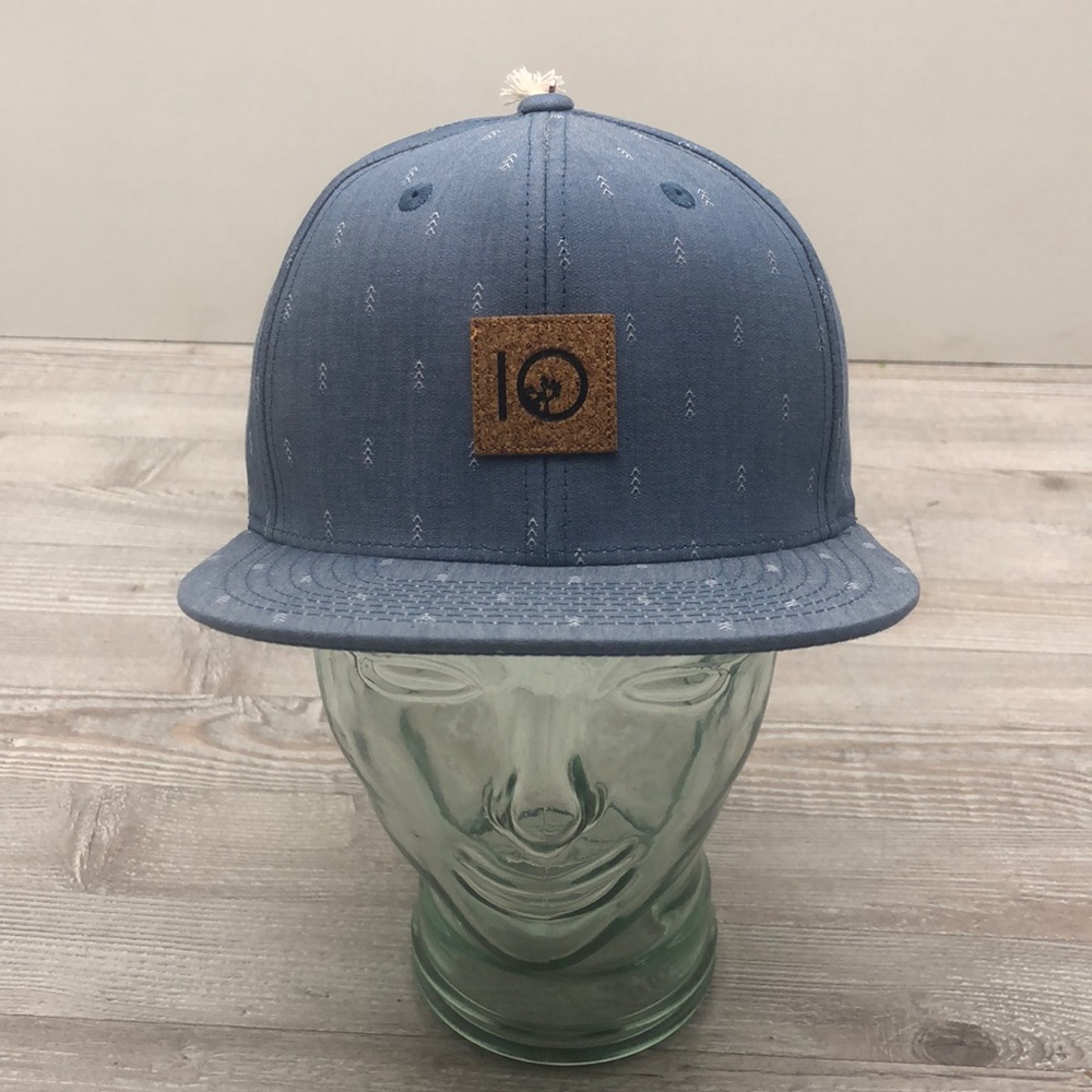 Last chance! Tentree new blue “Spruce” cap hat